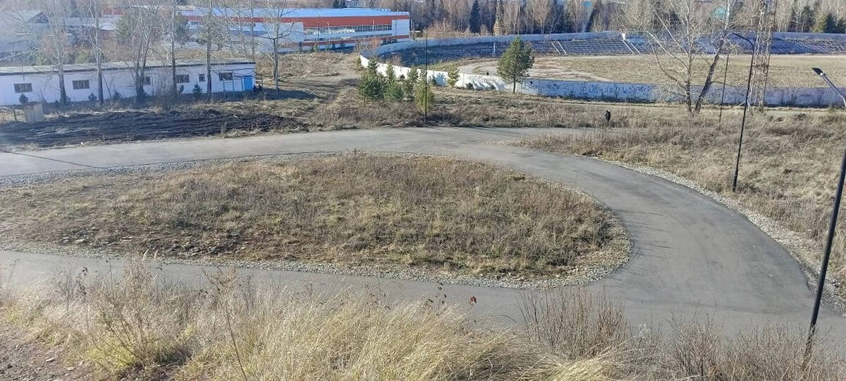 Трамплин будет располагаться возле лыжероллерной трассы