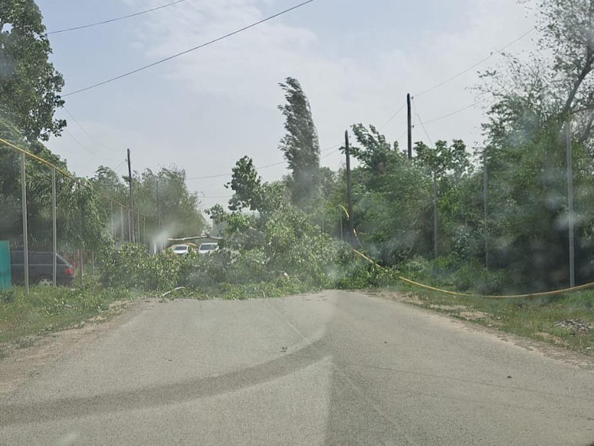 В ВКО сильный ветер привел к разрушениям