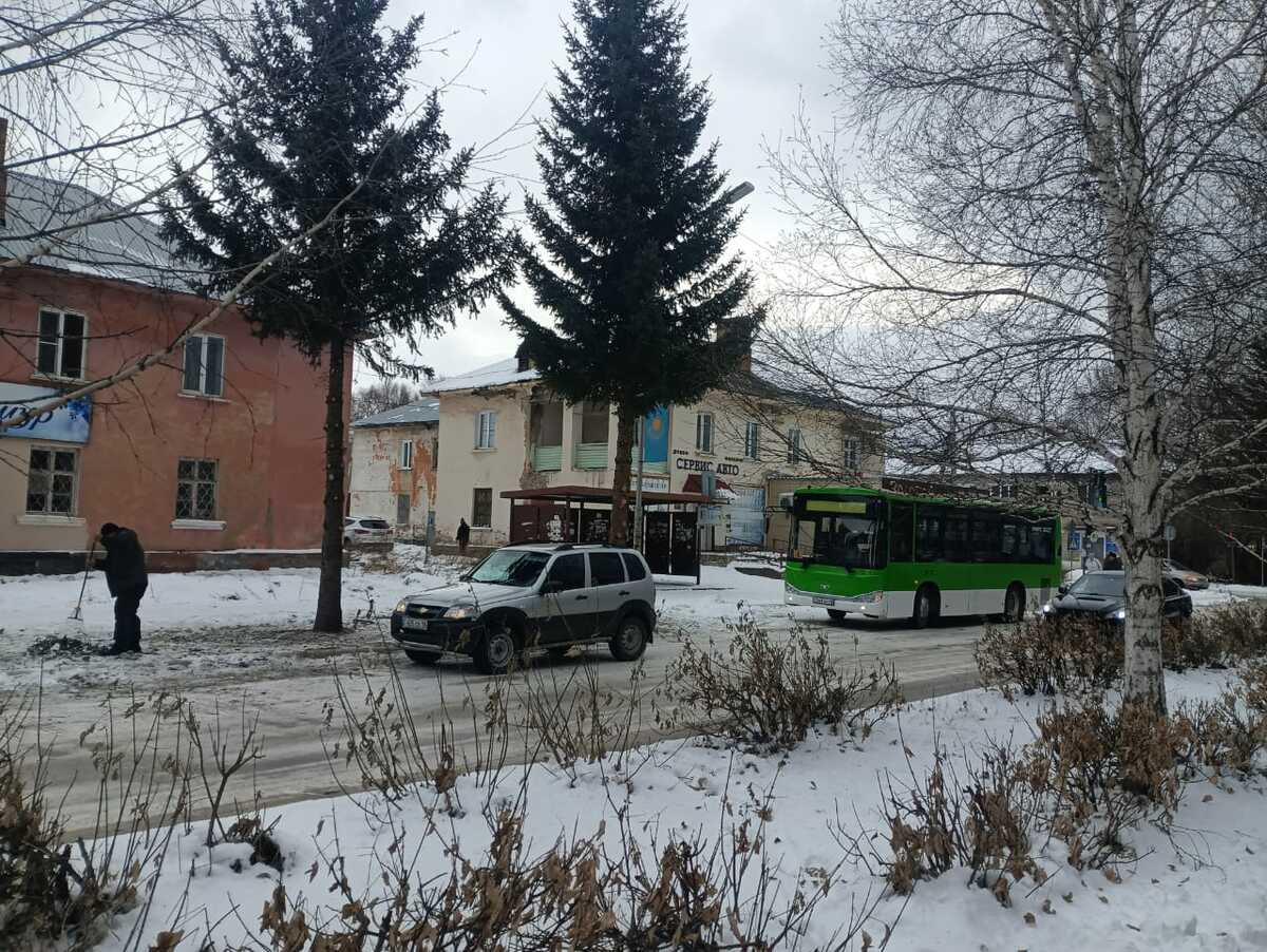 В Риддере обрезают ели на центральных улицах