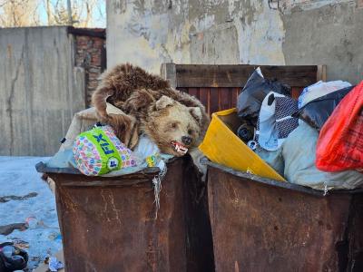 В Усть-Каменогорске в мусорном баке обнаружили "шкуру медведя" | Я - очевидец! Noks.kz