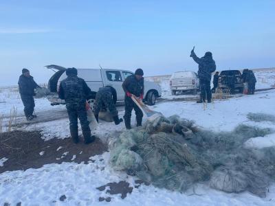 В ВКО на озере Зайсан обнаружили около 300 незаконно установленных сетей | ВКО Noks.kz