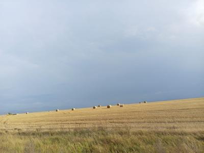 ВКО. В районе Самар переходят к орошаемому земледелию | ВКО Noks.kz