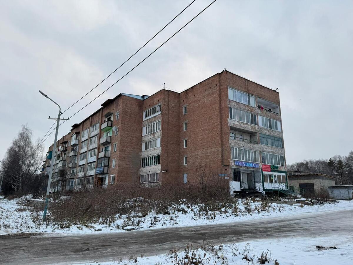 Сразу несколько муралов могут появиться в городе Алтае