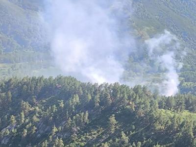 В ВКО большинство лесных пожаров возникает из-за грозовых разрядов | ВКО Noks.kz