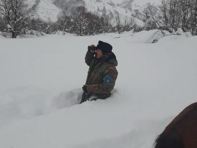 В ВКО в январе снега выпало больше нормы | ВКО Noks.kz
