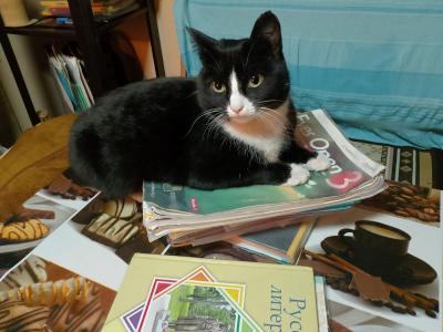 В ВКО ожидаются морозы: при какой температуре школьники остаются дома? | ВКО Noks.kz