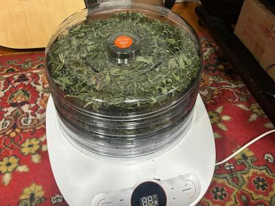 В ВКО у сельчанина изъяли больше четырёх килограммов марихуаны | Криминал Noks.kz