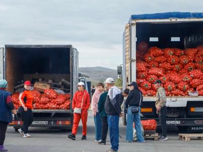 В Усть-Каменогорске стартует продажа овощей по стабилизированным ценам | Усть-Каменогорск Noks.kz