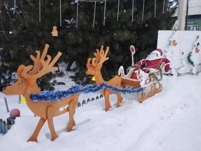 Житель Риддера превратил свой двор в новогоднюю сказку | Риддер Noks.kz