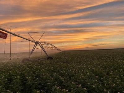 В Казахстане внедрят дифференцированные тарифы на воду для поливных земель | Казахстан Noks.kz