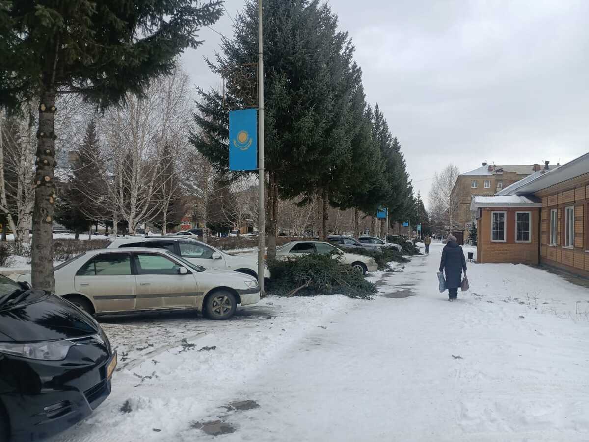 В Риддере обрезают ели на центральных улицах