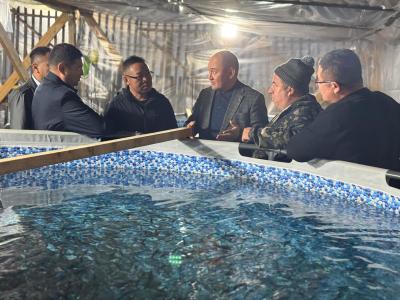 Китайская компания готова покупать алтайскую форель | Город Noks.kz