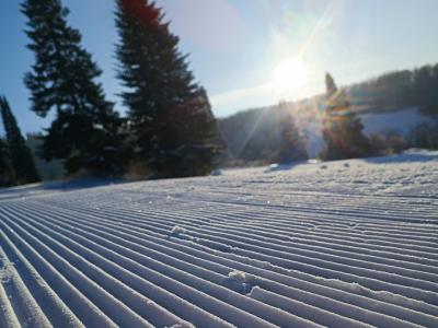 В ВКО открытие «Нуртау» задерживается в связи с судебными разбирательствами | ВКО Noks.kz