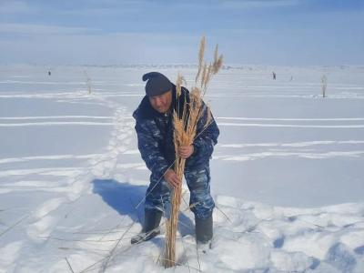 В ВКО проводят работы по аэрации водоемов | ВКО Noks.kz