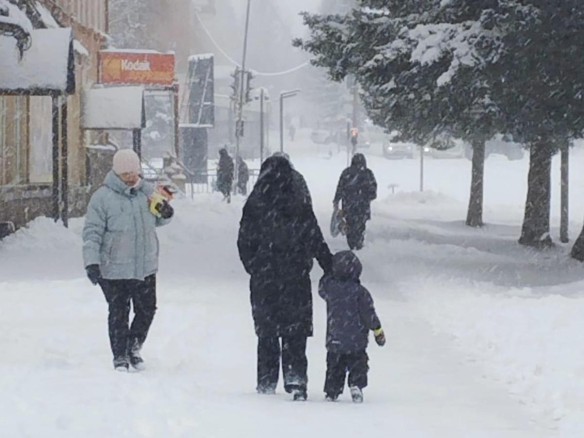 Жители Риддера столкнулись с последствиями обильного ночного снегопада