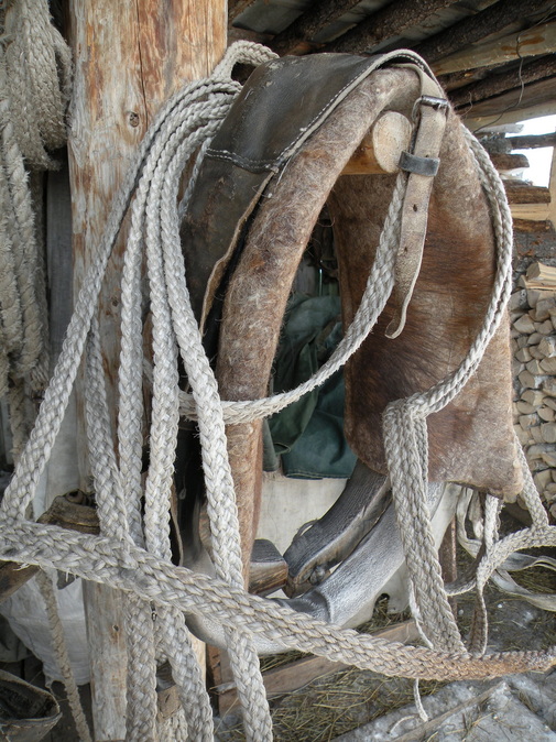 Шорник из ВКО — о традициях, качестве и любви к лошадям