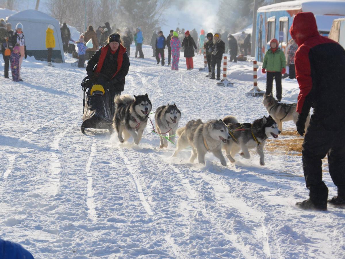 Открытие зимнего сезона в Риддере предлагают организовать высоко в горах