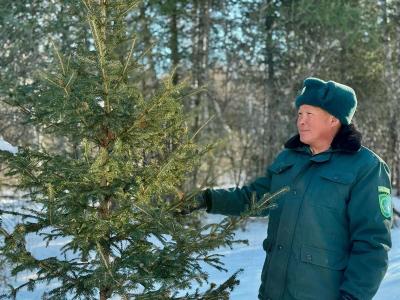 В ВКО на некоторых дорогах выставят посты | ВКО Noks.kz