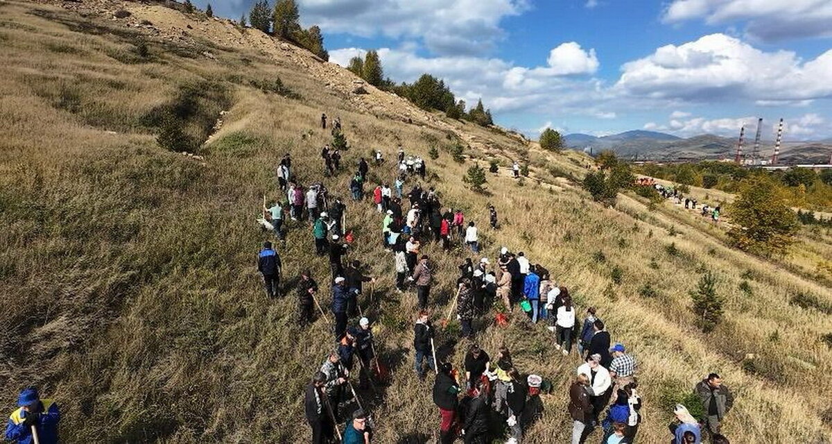 В Риддере высадили 200 деревьев в рамках акции «Таза Қазақстан»