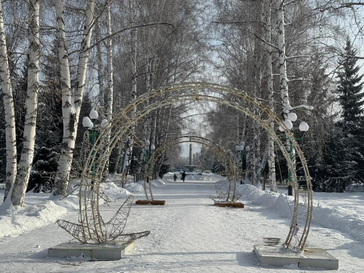 Скоро на главной площади города Алтая будет установлена новая искусственная ель