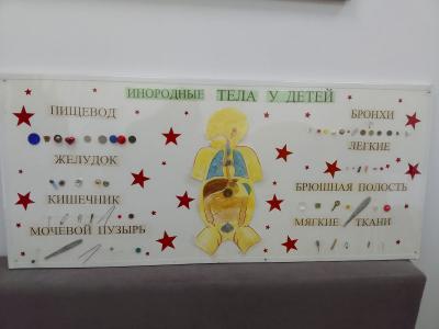 В Усть-Каменогорске «музей» проглоченных предметов постоянно пополняется новыми экспонатами | Усть-Каменогорск Noks.kz