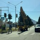 Состояние дорог и новые светофоры: в районе Алтай подвели итоги года