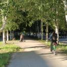 В Риддере этим летом появятся новые тротуары