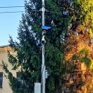В городе Алтае заработали камеры фиксации скорости
