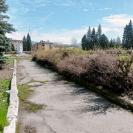 Чем заменить зелёное обрамление центральной площади города Алтая?