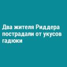 Два жителя Риддера пострадали от укусов гадюки