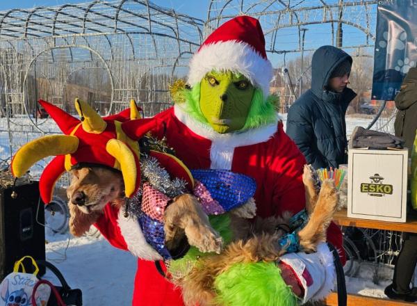 В Усть-Каменогорске состоялся костюмированный парад собак  