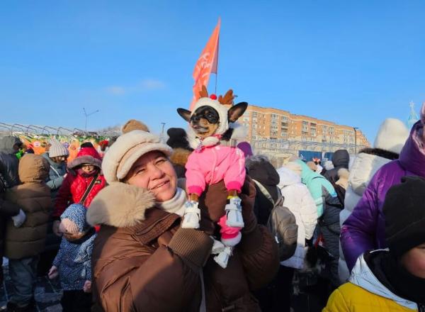 В Усть-Каменогорске состоялся костюмированный парад собак  