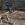 В одном из дворов Усть-Каменогорска завалили ветками детскую площадку | Я - очевидец! Noks.kz
