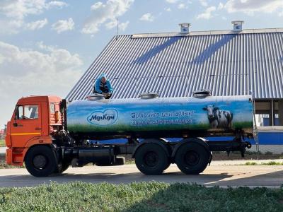 Казахстан запустит производство гипоаллергенного молока | Казахстан Noks.kz