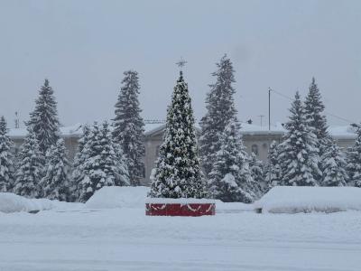 В Алтае зажгут главную городскую ёлку | Город Noks.kz