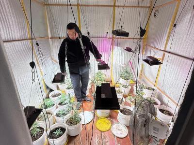 Житель ВКО на территории дома организовал фитолабораторию по выращиванию запрещенных растений | Криминал Noks.kz