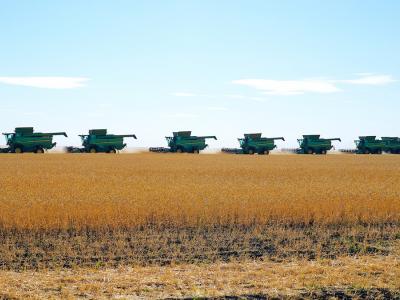 В Казахстане сельчанам могут снизить пенсионный возраст | Казахстан Noks.kz