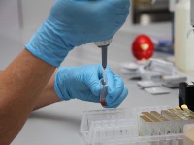 В 2024 году в ВКО выявили 273 новых случая ВИЧ | ВКО Noks.kz