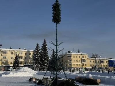 В городе Алтае приступили к установке главной новогодней ёлки | Город Noks.kz