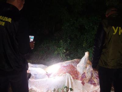 В ВКО похищали сельхозживотных, пасущихся на окраине сёл  | Криминал Noks.kz