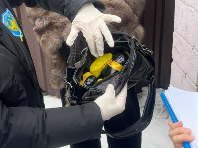 В Усть-Каменогорске задержали предполагаемую закладчицу | Криминал Noks.kz