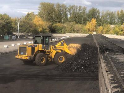 Казахстан полностью обеспечил запасы угля для отопительного сезона | Казахстан Noks.kz