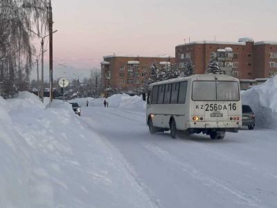 В районе Алтай пытаются вернуть маршрут № 100 до села Берёзовского | Район Noks.kz
