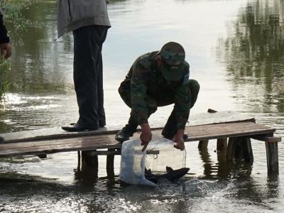 В ВКО в Чёрный Иртыш выпустили молодь сибирского осетра  | ВКО Noks.kz