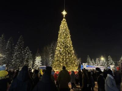 В Алтае зажгли огни на главной городской ёлке | Город Noks.kz