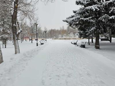 Сильный снег ожидается в ВКО | ВКО Noks.kz