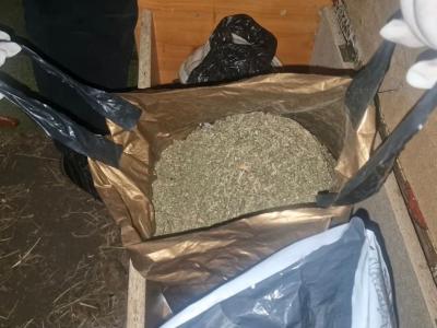 Тайник под стулом: у жителя ВКО изъяли более 1,7 килограмма марихуаны | Криминал Noks.kz
