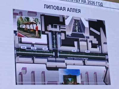 В Усть-Каменогорске благоустроят липовую аллею | Усть-Каменогорск Noks.kz