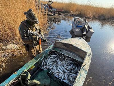 В ВКО полтонны рыбы изъяли у браконьеров на озере Зайсан | Криминал Noks.kz