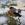На улицах Усть-Каменогорска встречаются «захмелевшие» снегири | Усть-Каменогорск Noks.kz